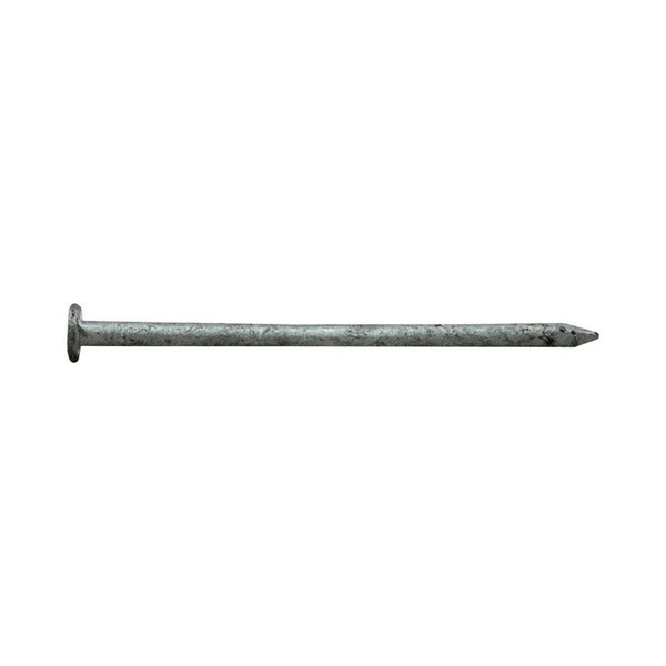 Pro-Fit Common Nail, 2-1/2 in L, 8D 0054155